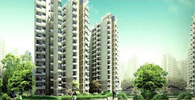 CHD Golf Avenue